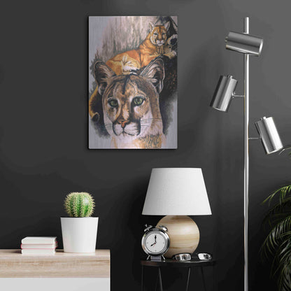 Luxe Metal Art 'Felis Concolor Cory' by Barbara Keith, Metal Wall Art,16x24