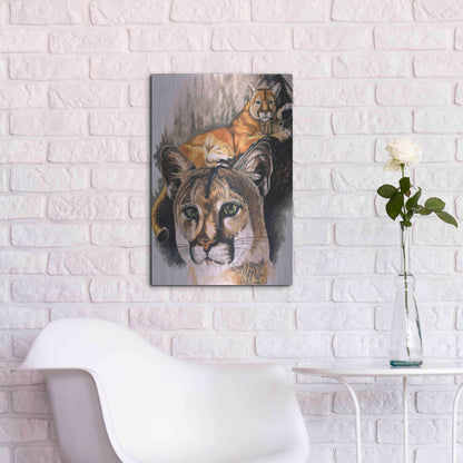 Luxe Metal Art 'Felis Concolor Cory' by Barbara Keith, Metal Wall Art,16x24