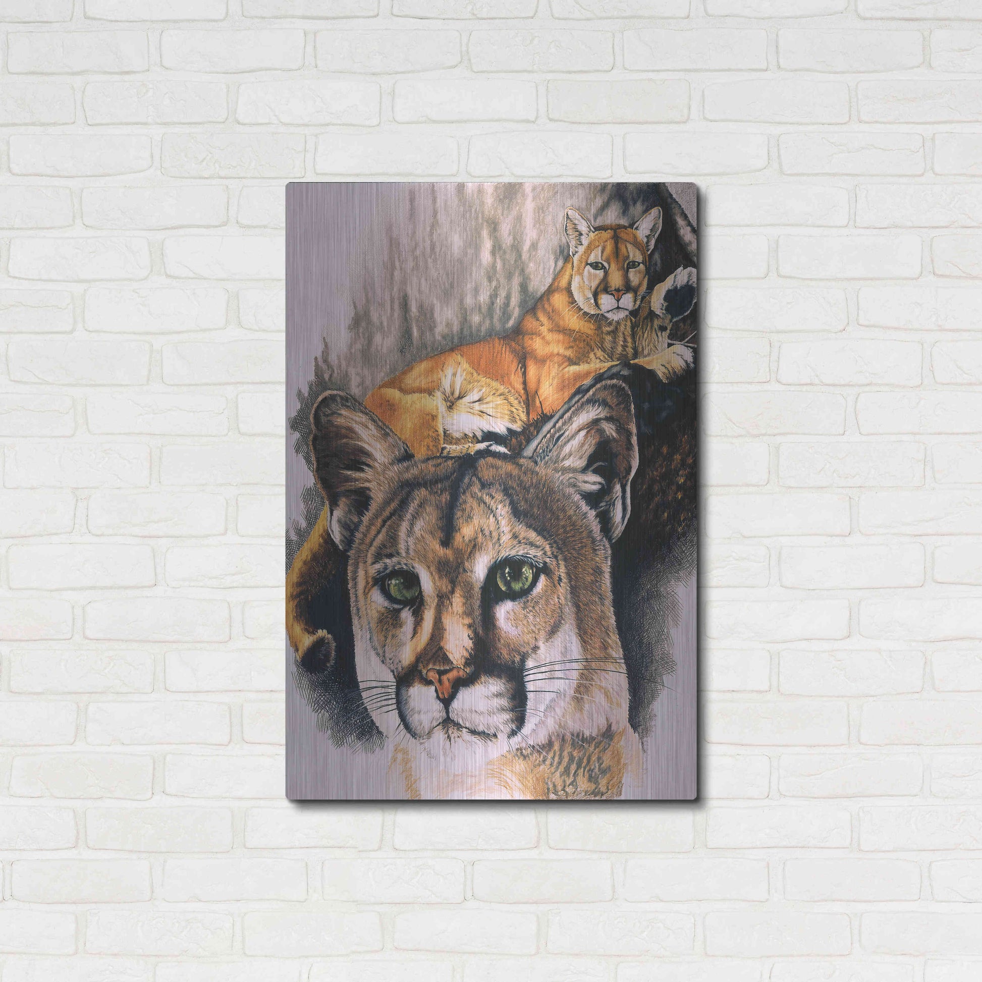 Luxe Metal Art 'Felis Concolor Cory' by Barbara Keith, Metal Wall Art,24x36