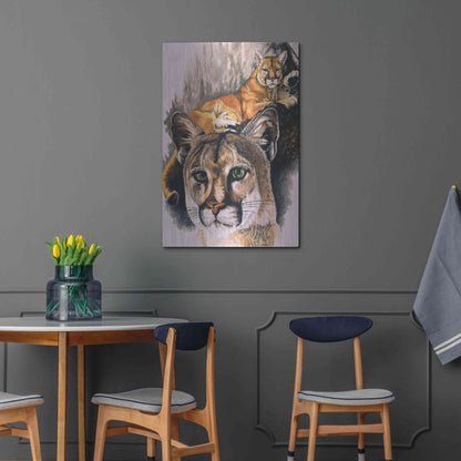 Luxe Metal Art 'Felis Concolor Cory' by Barbara Keith, Metal Wall Art,24x36