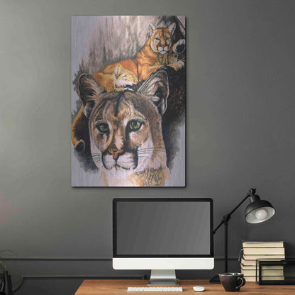 Luxe Metal Art 'Felis Concolor Cory' by Barbara Keith, Metal Wall Art,24x36