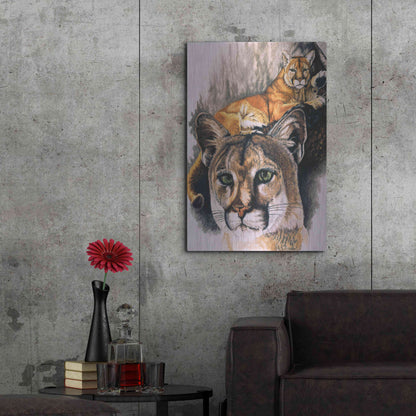 Luxe Metal Art 'Felis Concolor Cory' by Barbara Keith, Metal Wall Art,24x36