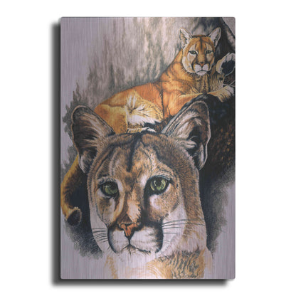 Luxe Metal Art 'Felis Concolor Cory' by Barbara Keith, Metal Wall Art