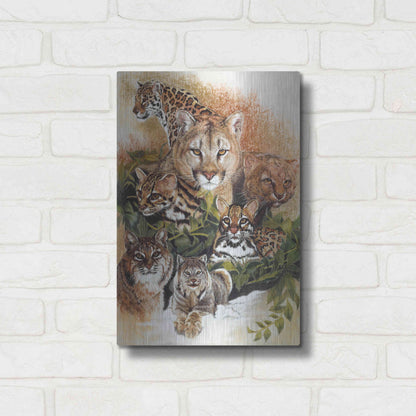 Luxe Metal Art 'Feline Rhapsody' by Barbara Keith, Metal Wall Art,12x16
