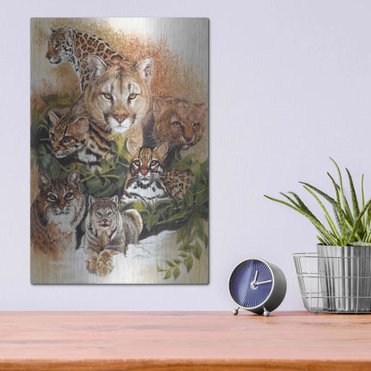 Luxe Metal Art 'Feline Rhapsody' by Barbara Keith, Metal Wall Art,12x16