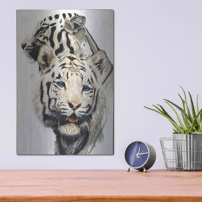 Luxe Metal Art 'Ghost' by Barbara Keith, Metal Wall Art,12x16