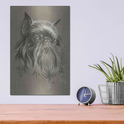 Luxe Metal Art 'Brussels Griffon 2' by Barbara Keith, Metal Wall Art,12x16