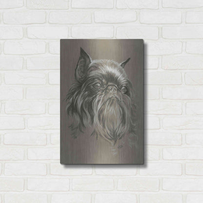 Luxe Metal Art 'Brussels Griffon 2' by Barbara Keith, Metal Wall Art,16x24