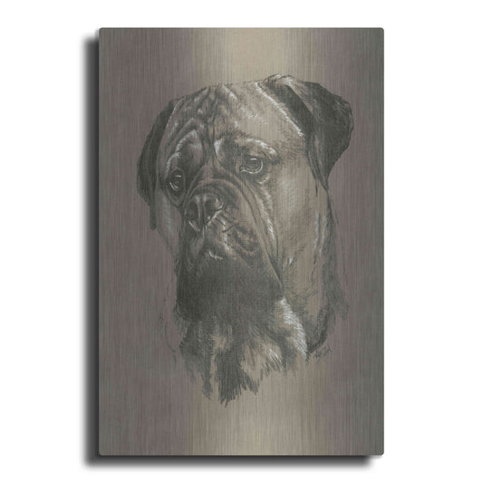 Luxe Metal Art 'Bull Mastiff' by Barbara Keith, Metal Wall Art