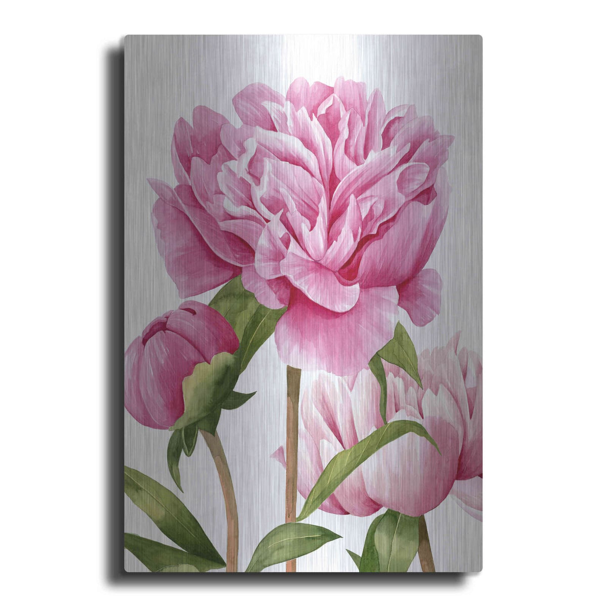'Winsome Peonies II' by Grace Popp – Metal Wall Art