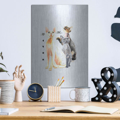 Luxe Metal Art 'Devon Rex' by Barbara Keith, Metal Wall Art,12x16