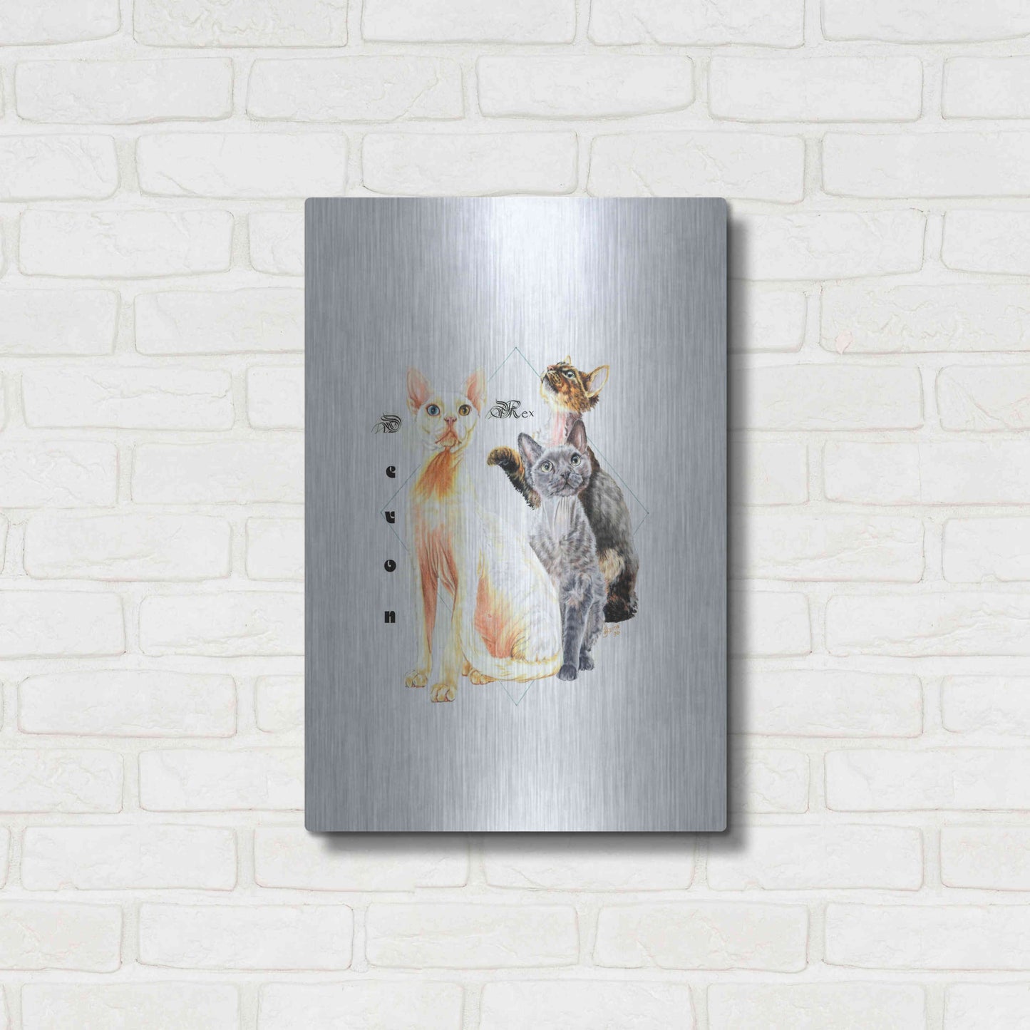 Luxe Metal Art 'Devon Rex' by Barbara Keith, Metal Wall Art,16x24