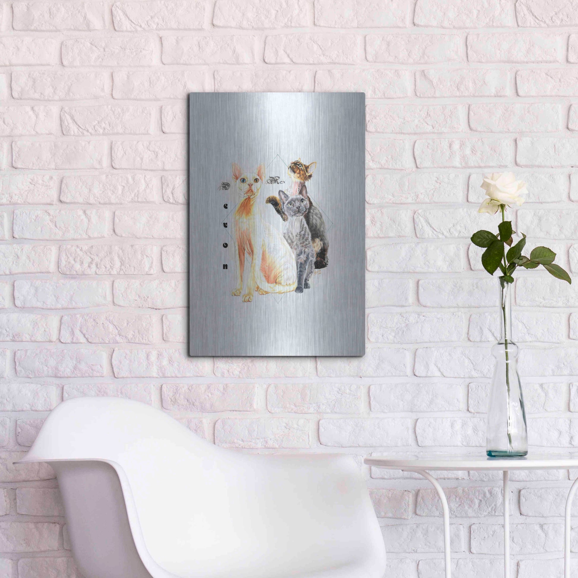 Luxe Metal Art 'Devon Rex' by Barbara Keith, Metal Wall Art,16x24