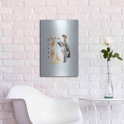 Luxe Metal Art 'Devon Rex' by Barbara Keith, Metal Wall Art,16x24