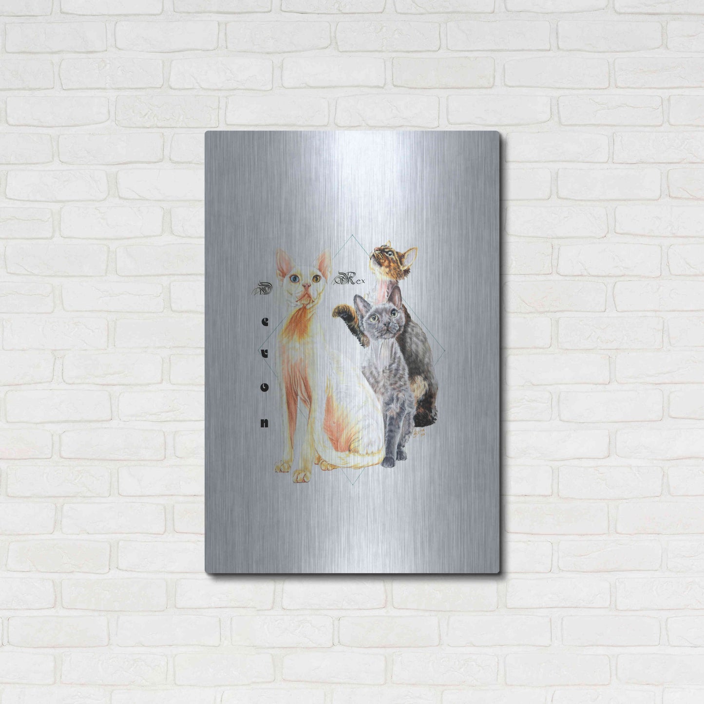 Luxe Metal Art 'Devon Rex' by Barbara Keith, Metal Wall Art,24x36