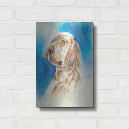 Luxe Metal Art 'English Setter' by Barbara Keith, Metal Wall Art,12x16