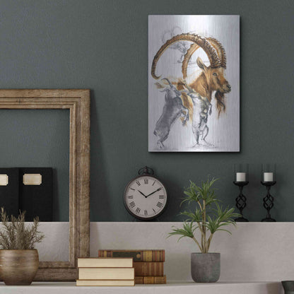 Luxe Metal Art 'Ibex' by Barbara Keith, Metal Wall Art,12x16