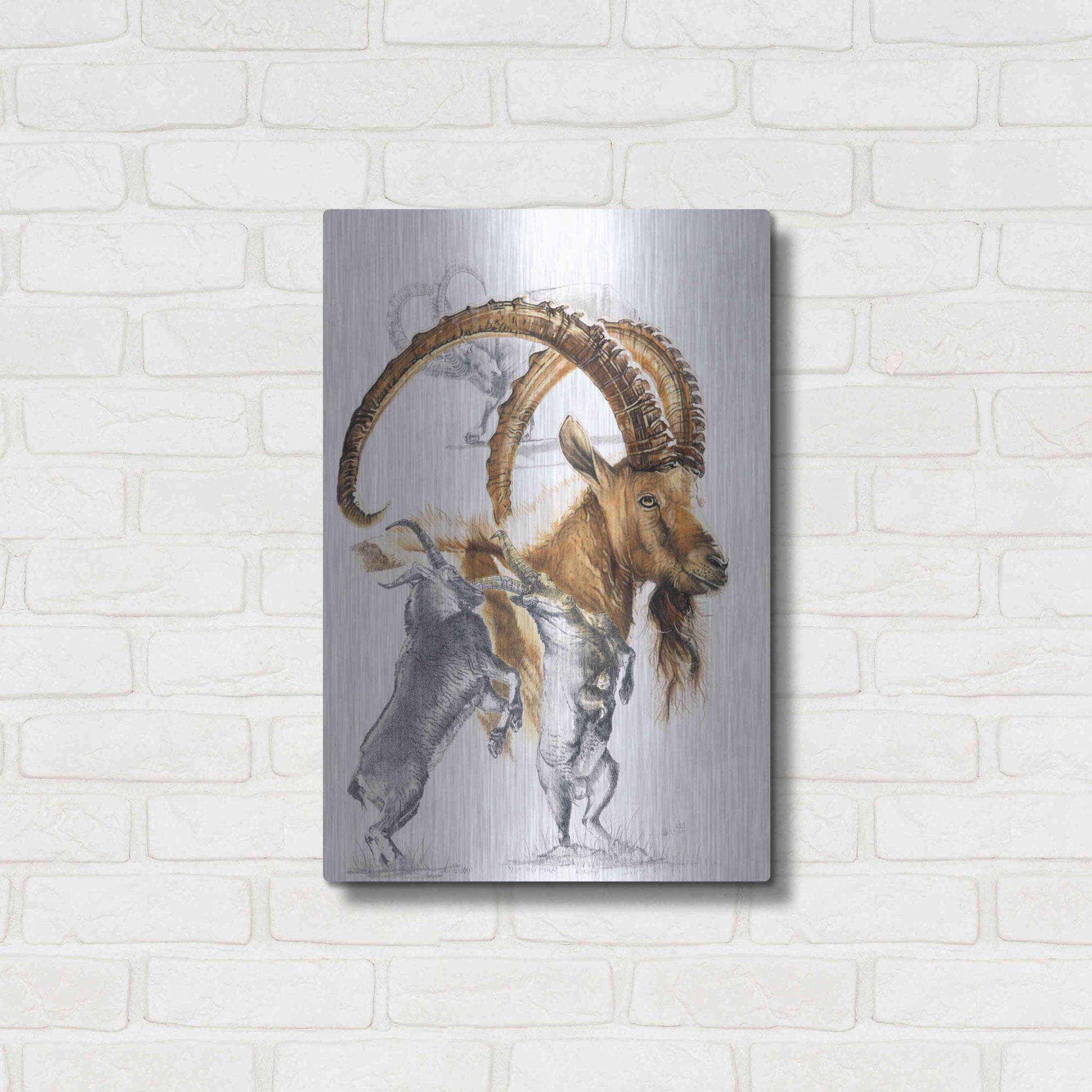 Luxe Metal Art 'Ibex' by Barbara Keith, Metal Wall Art,16x24