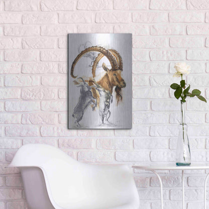 Luxe Metal Art 'Ibex' by Barbara Keith, Metal Wall Art,16x24