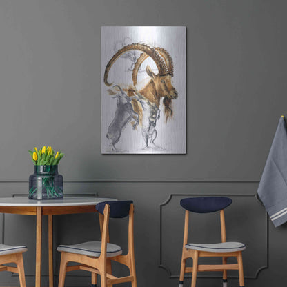 Luxe Metal Art 'Ibex' by Barbara Keith, Metal Wall Art,24x36