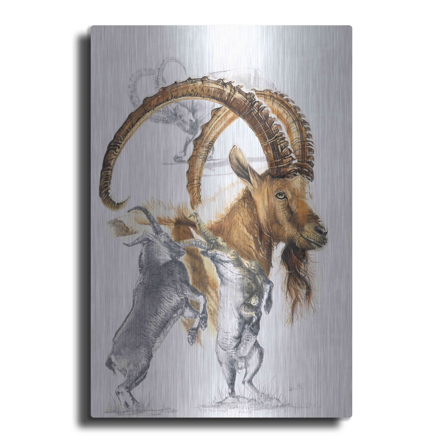 Luxe Metal Art 'Ibex' by Barbara Keith, Metal Wall Art