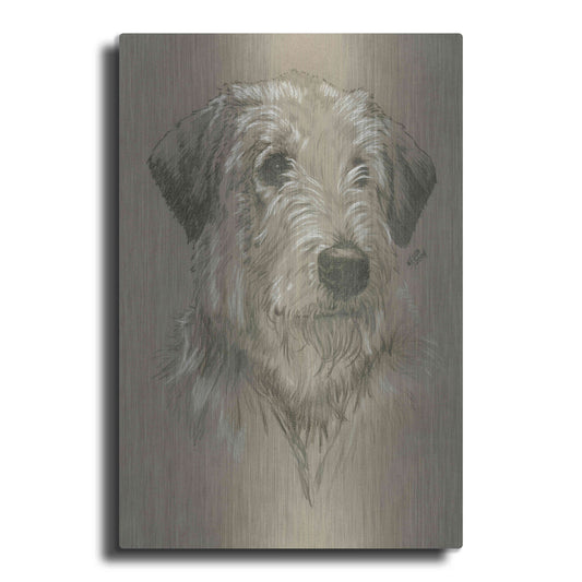 Luxe Metal Art 'Irish Wolfhound' by Barbara Keith, Metal Wall Art