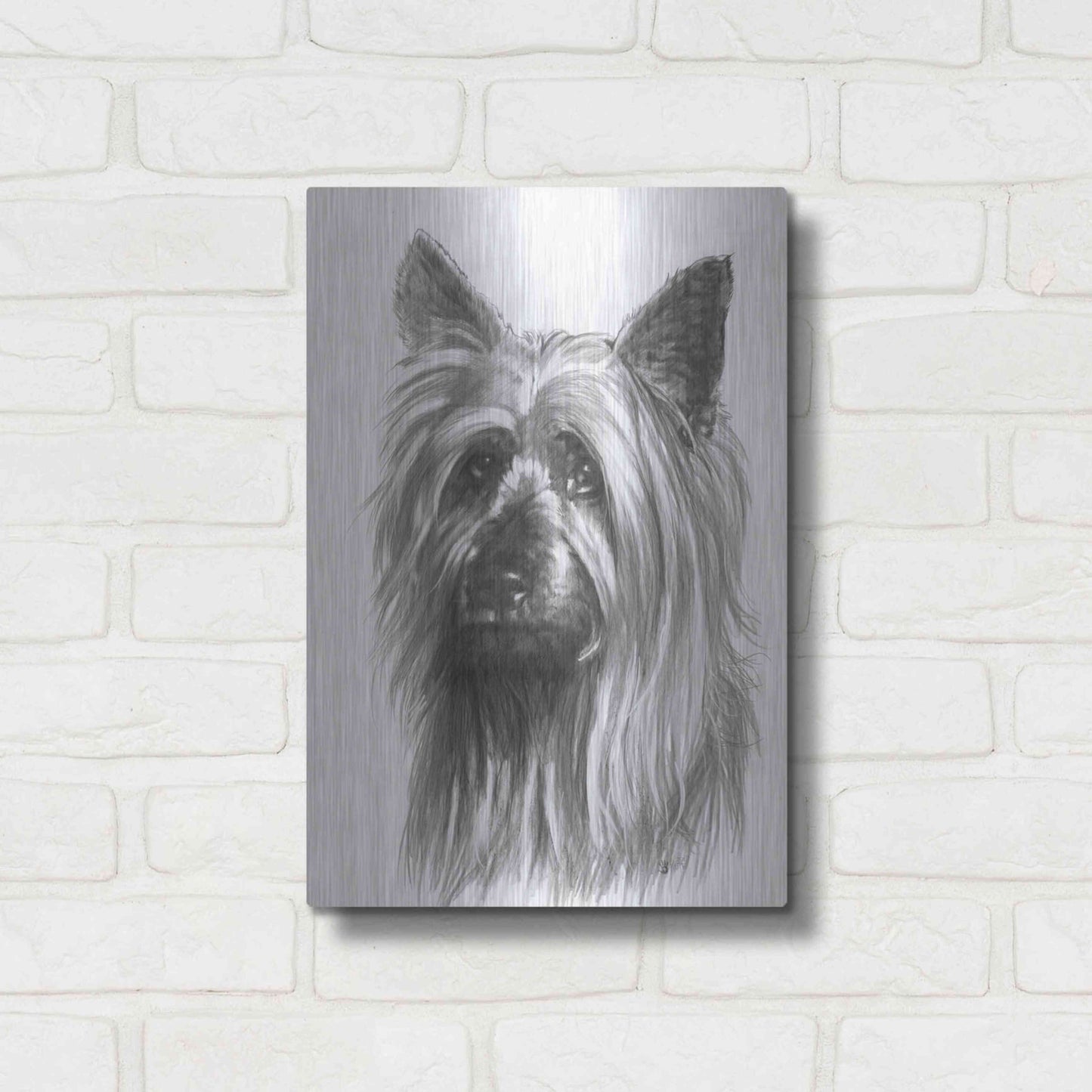 Luxe Metal Art 'Winsome' by Barbara Keith, Metal Wall Art,12x16