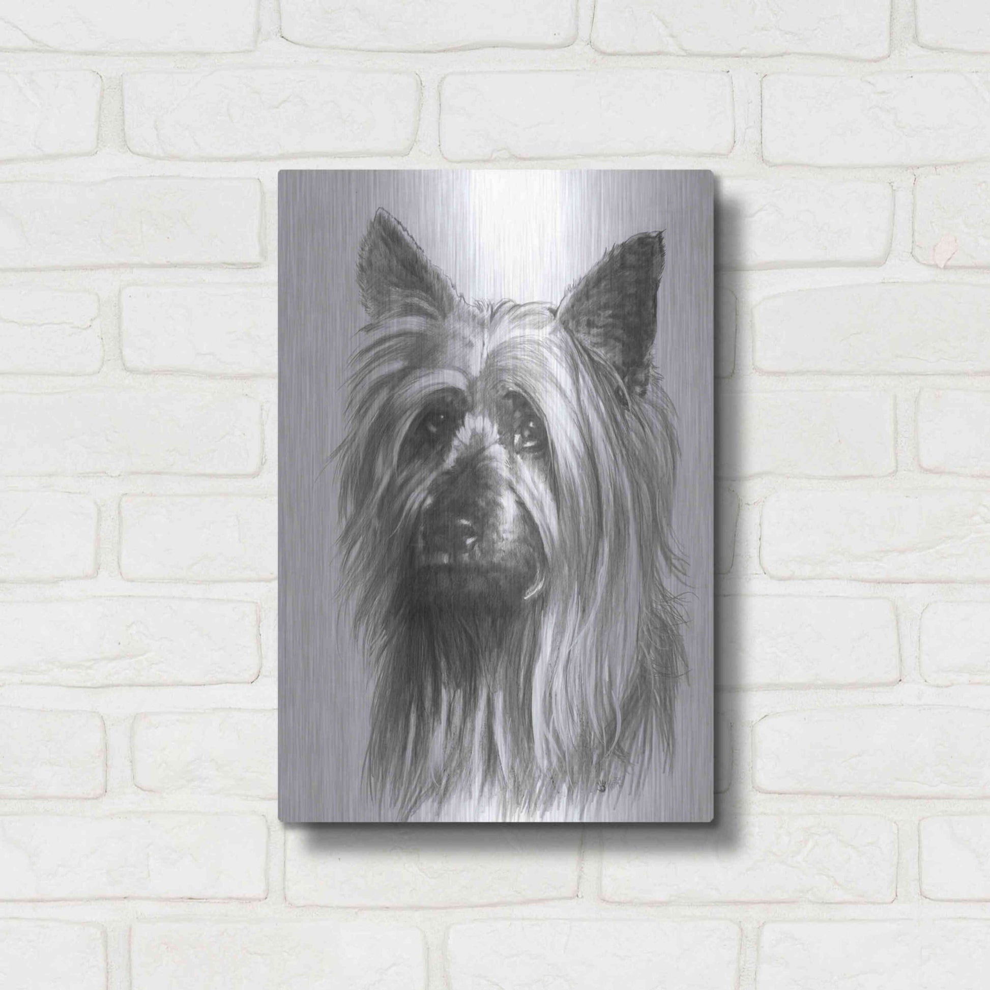 Luxe Metal Art 'Winsome' by Barbara Keith, Metal Wall Art,12x16