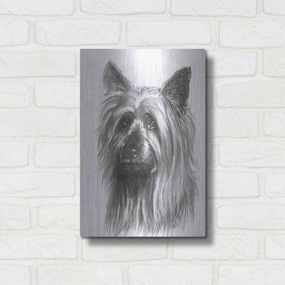 Luxe Metal Art 'Winsome' by Barbara Keith, Metal Wall Art,12x16