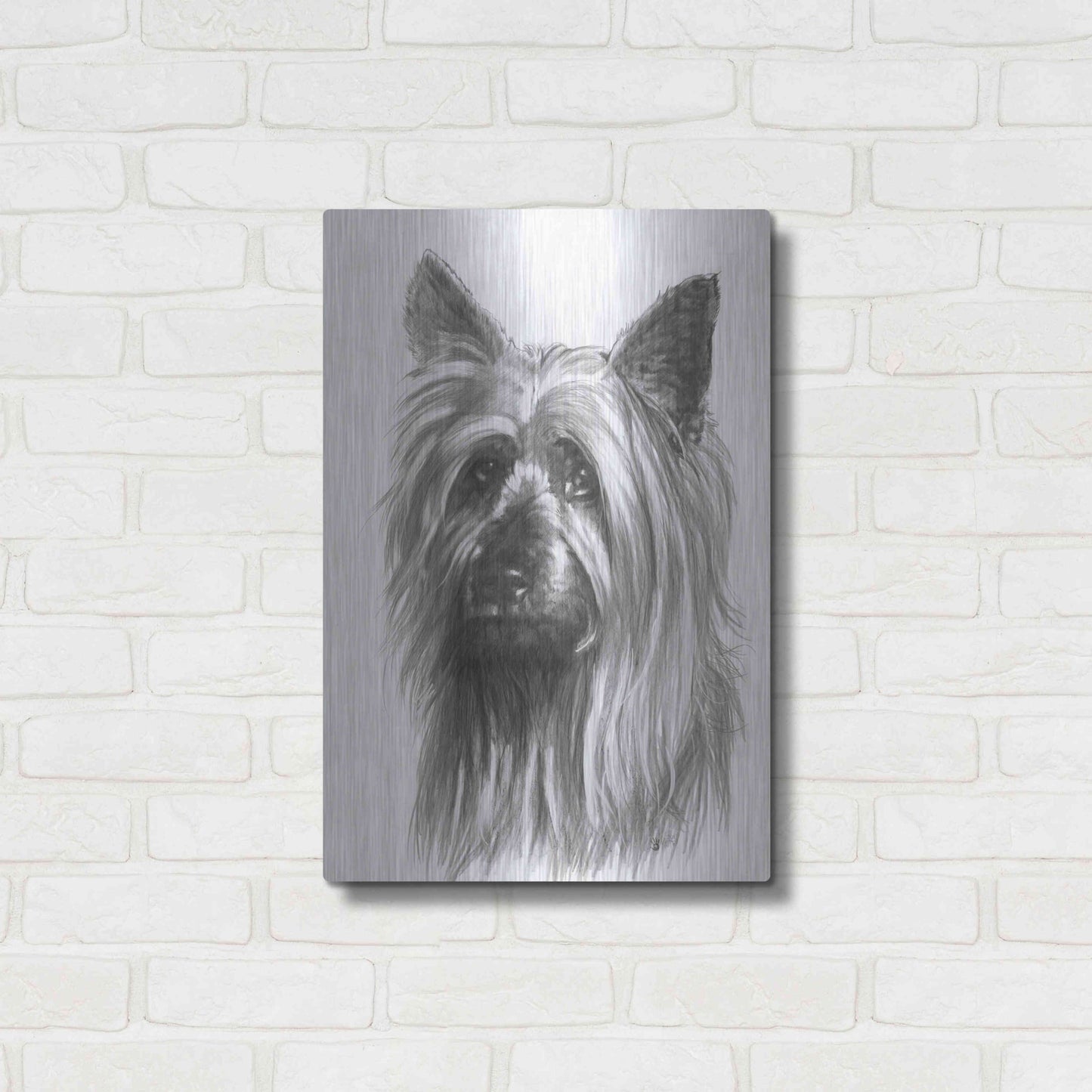 Luxe Metal Art 'Winsome' by Barbara Keith, Metal Wall Art,16x24