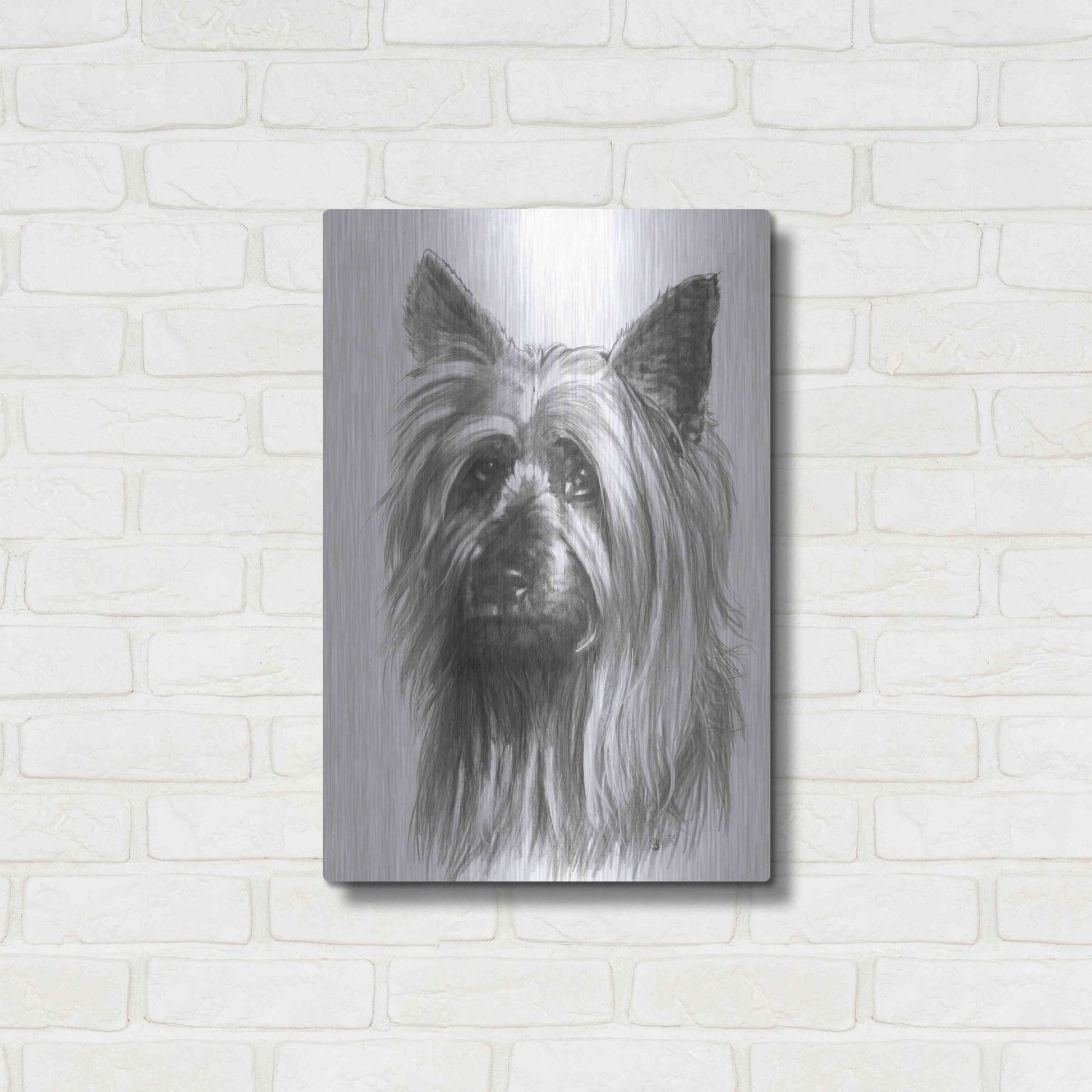 Luxe Metal Art 'Winsome' by Barbara Keith, Metal Wall Art,16x24