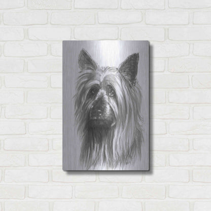 Luxe Metal Art 'Winsome' by Barbara Keith, Metal Wall Art,16x24