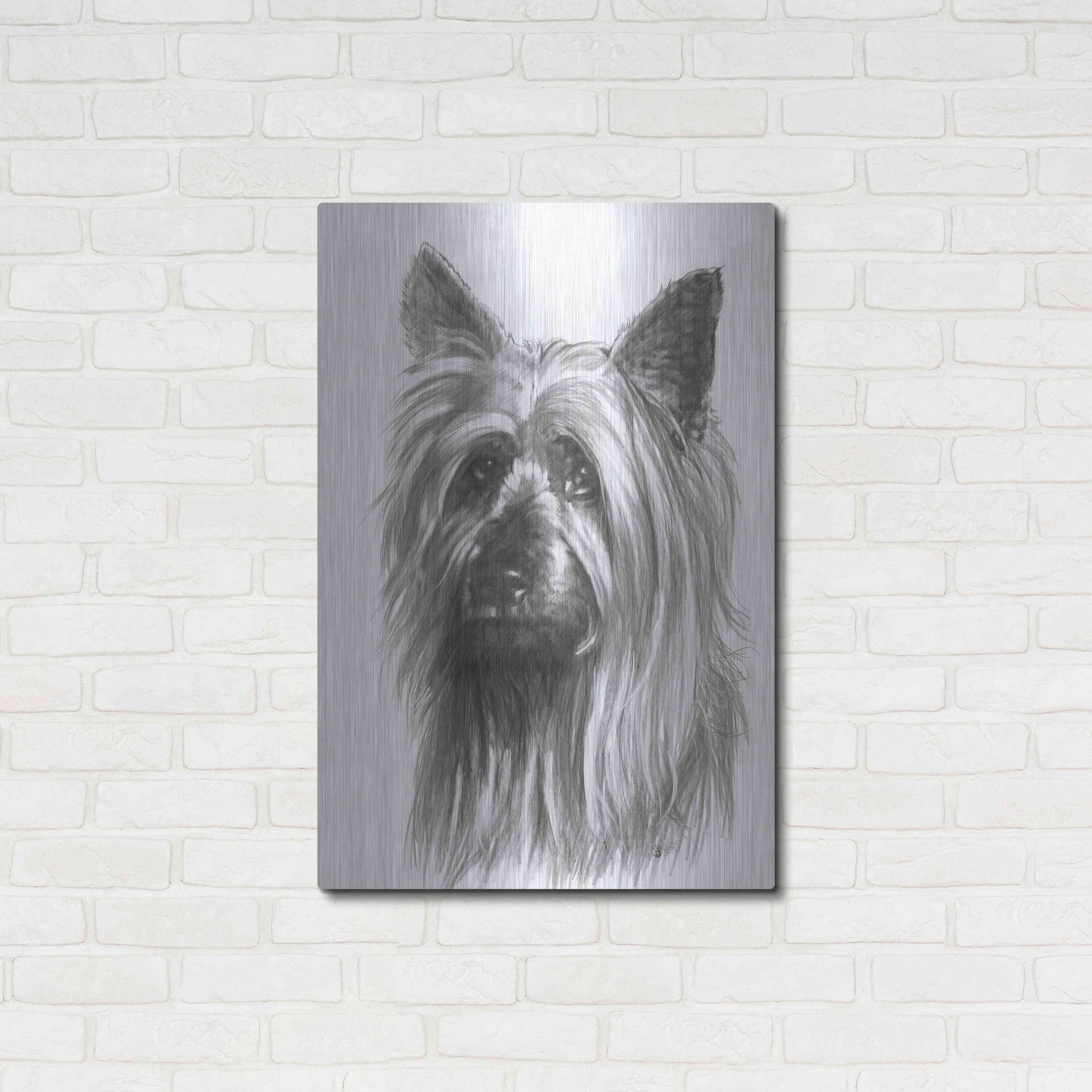 Luxe Metal Art 'Winsome' by Barbara Keith, Metal Wall Art,24x36