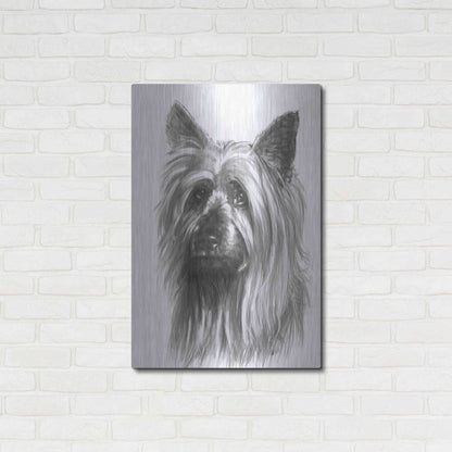 Luxe Metal Art 'Winsome' by Barbara Keith, Metal Wall Art,24x36