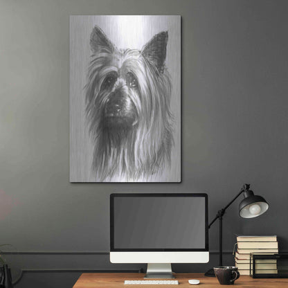 Luxe Metal Art 'Winsome' by Barbara Keith, Metal Wall Art,24x36
