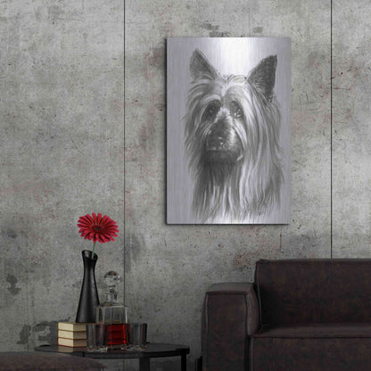 Luxe Metal Art 'Winsome' by Barbara Keith, Metal Wall Art,24x36
