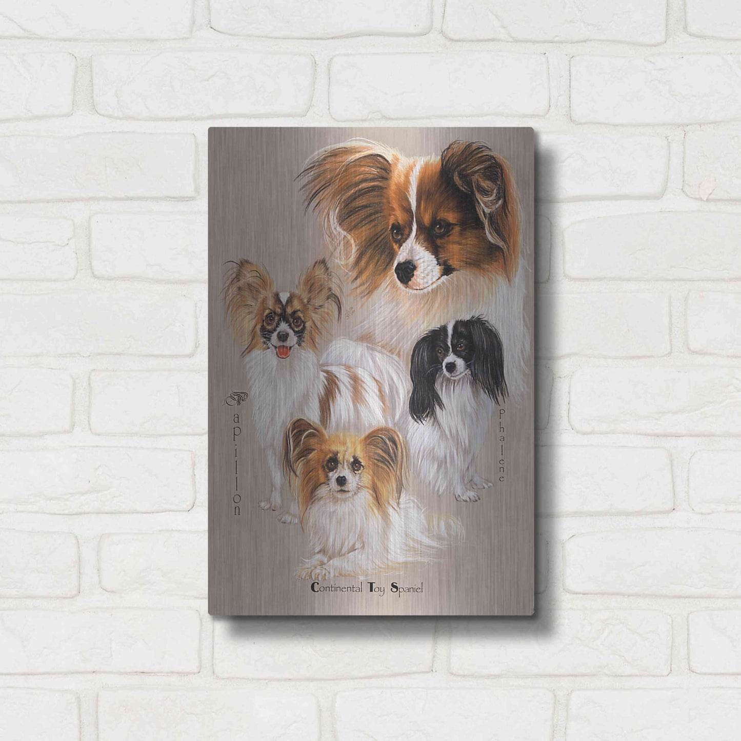 Luxe Metal Art 'Papillon' by Barbara Keith, Metal Wall Art,12x16