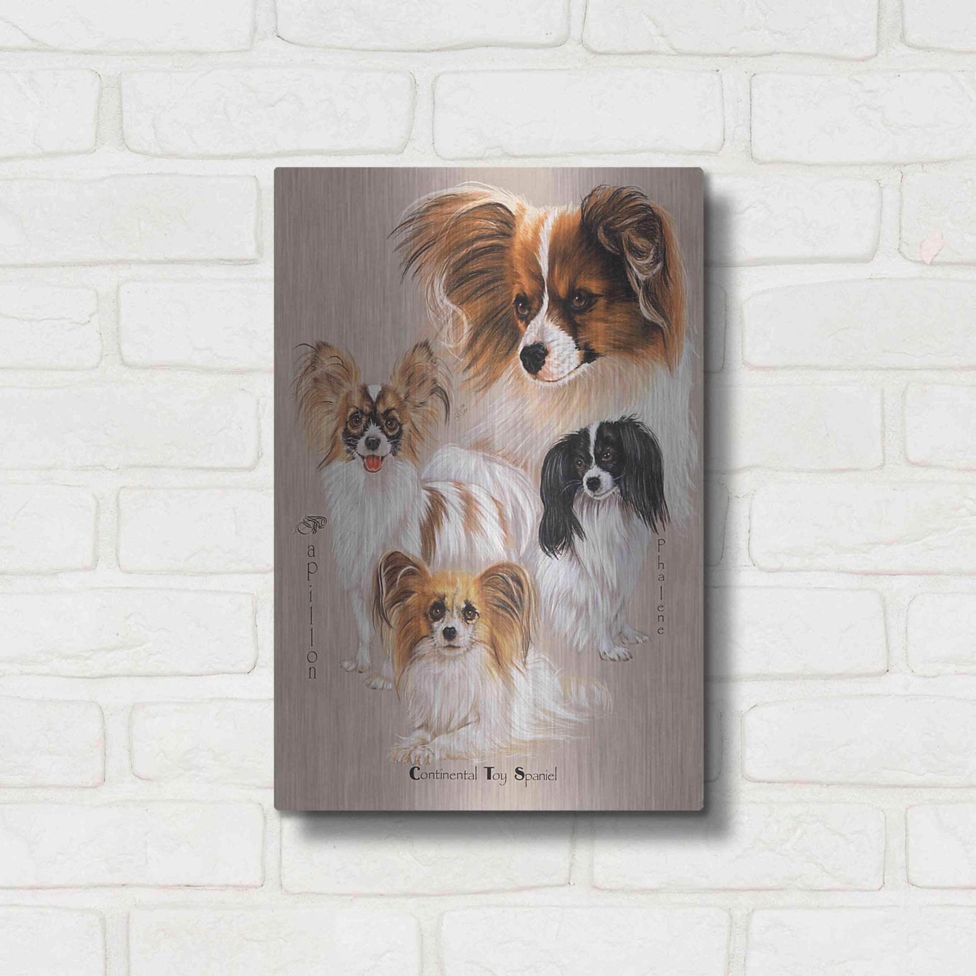 Luxe Metal Art 'Papillon' by Barbara Keith, Metal Wall Art,12x16