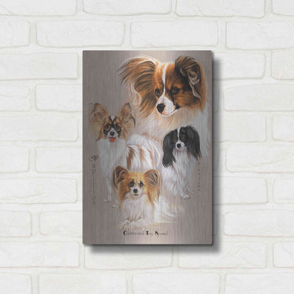 Luxe Metal Art 'Papillon' by Barbara Keith, Metal Wall Art,12x16