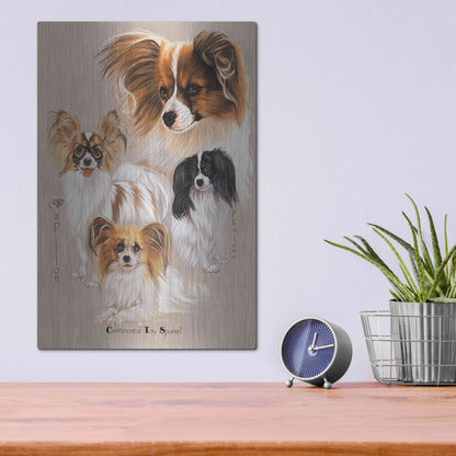 Luxe Metal Art 'Papillon' by Barbara Keith, Metal Wall Art,12x16