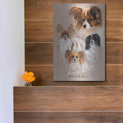 Luxe Metal Art 'Papillon' by Barbara Keith, Metal Wall Art,12x16