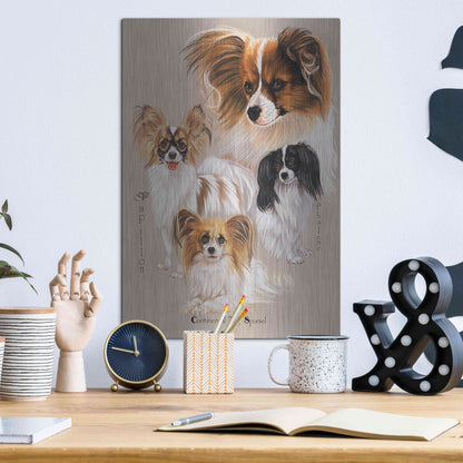 Luxe Metal Art 'Papillon' by Barbara Keith, Metal Wall Art,12x16