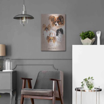 Luxe Metal Art 'Papillon' by Barbara Keith, Metal Wall Art,16x24