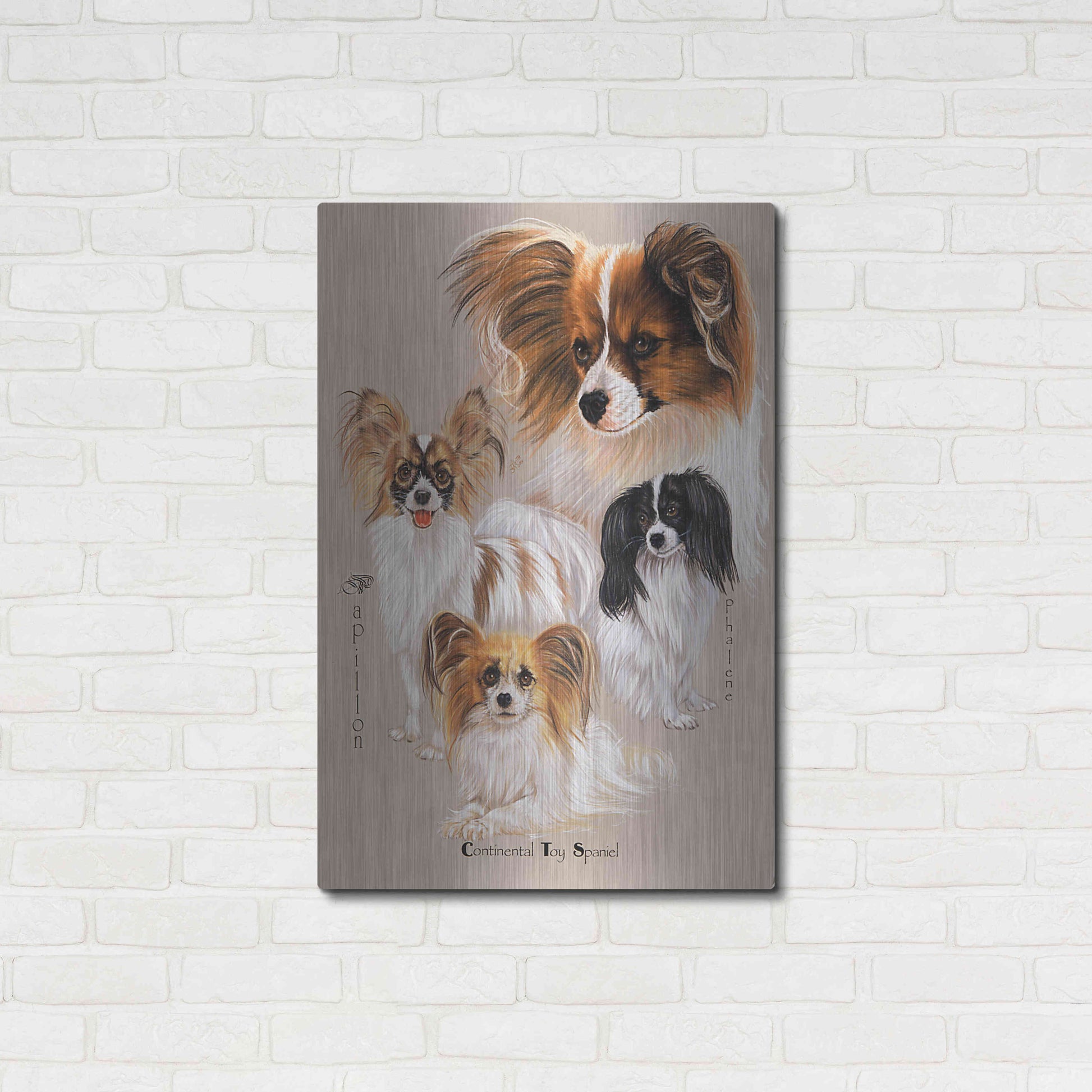 Luxe Metal Art 'Papillon' by Barbara Keith, Metal Wall Art,24x36