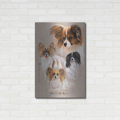 Luxe Metal Art 'Papillon' by Barbara Keith, Metal Wall Art,24x36