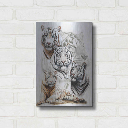 Luxe Metal Art 'Baron' by Barbara Keith, Metal Wall Art,12x16