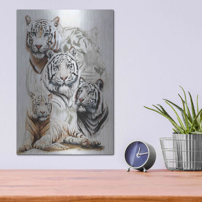 Luxe Metal Art 'Baron' by Barbara Keith, Metal Wall Art,12x16