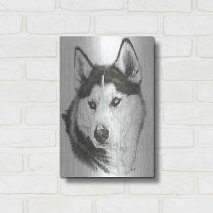 Luxe Metal Art 'Buff' by Barbara Keith, Metal Wall Art,12x16