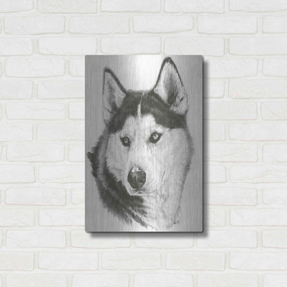 Luxe Metal Art 'Buff' by Barbara Keith, Metal Wall Art,16x24