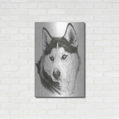 Luxe Metal Art 'Buff' by Barbara Keith, Metal Wall Art,24x36